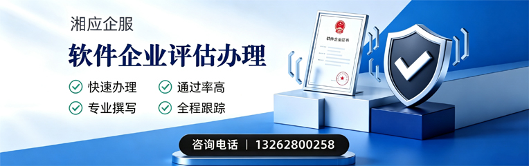 大理软件企业评估申报服务