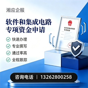 大理软件和集成电路专项资金申报服务
