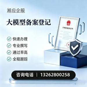 大理大模型备案申报服务