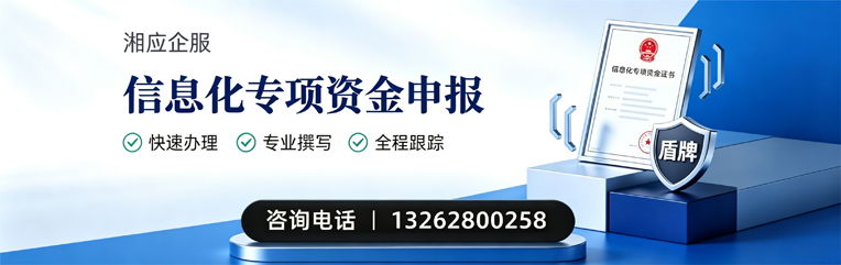 大理信息化专项资金申报服务