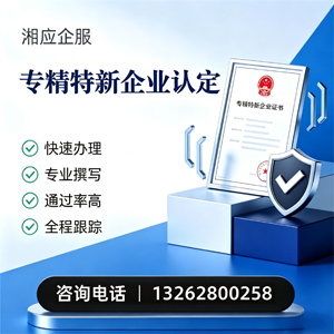 大理专精特新企业申报服务