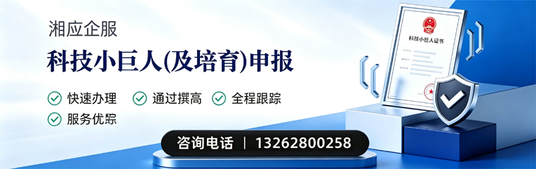 大理科技小巨人及培育企业申报服务