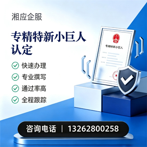 大理专精特新小巨人申报服务