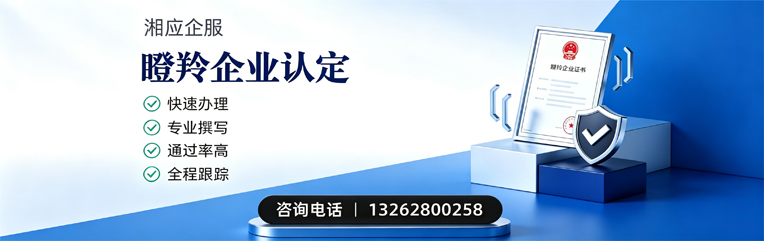 大理瞪羚企业认定申报服务