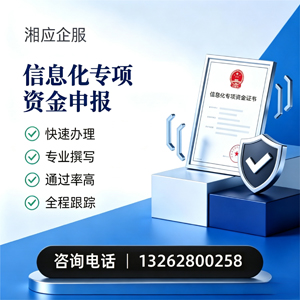 大理信息化专项资金申报服务