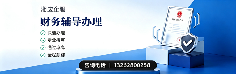 大理财务辅导申请服务