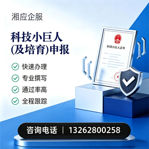 大理科技小巨人及培育企业申报服务