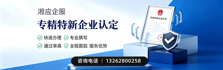 大理专精特新企业申报服务