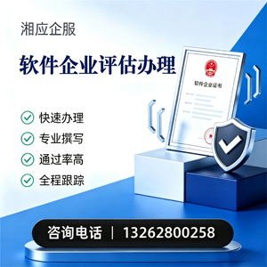 大理软件企业评估申报服务