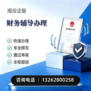 大理财务辅导申请服务