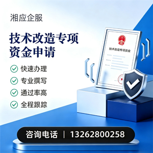 大理技术改造专项资金申报服务