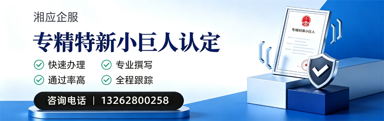 大理专精特新小巨人申报服务